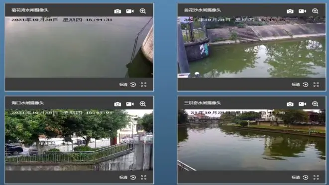 实时视频监控